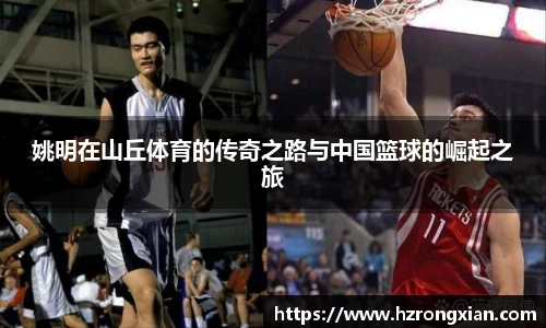 JJB竞技宝官网